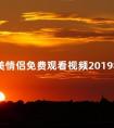 最美情侣免费观看视频2019年