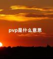 pvp是什么意思 王者pvp第一是啥意思