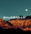 纯Visa在国内怎么办 中国visa卡可以在国外网站付钱吗