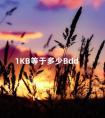 1KB等于多少Bdd