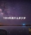 1993年属什么多少岁 1993年实岁和虚岁