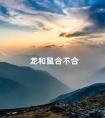 龙和鼠合不合 属鼠人最大靠山是谁