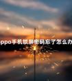 oppo手机锁屏密码忘了怎么办 oppo密码忘了强制清除