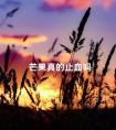 芒果真的止血吗 芒果芒果树怎么画画图片