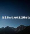 海星怎么吃吃哪里正确部位