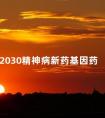 2030精神病新药基因药