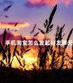 手机淘宝怎么发起好友聊天 手机淘宝怎么私聊别人