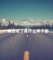 螨虫咬了是什么样子图