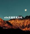 elle天猫是真的吗 ELLE是什么品牌