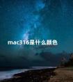 mac316是什么颜色 小辣椒和316哪个更适合日常