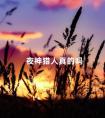 夜神猎人真的吗 夜神猎人app