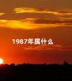 1987年属什么 属兔人一生最旺3个人