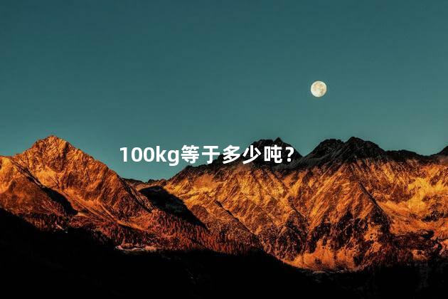 100kg等于多少吨