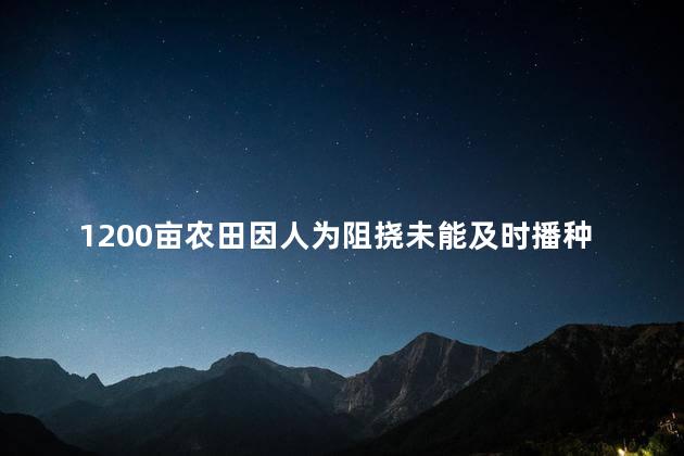 1200亩农田因人为阻挠未能及时播种