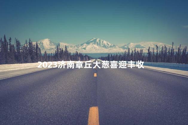 2023济南章丘大葱喜迎丰收