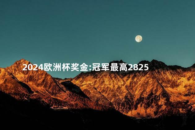 2024欧洲杯奖金:冠军最高2825万欧