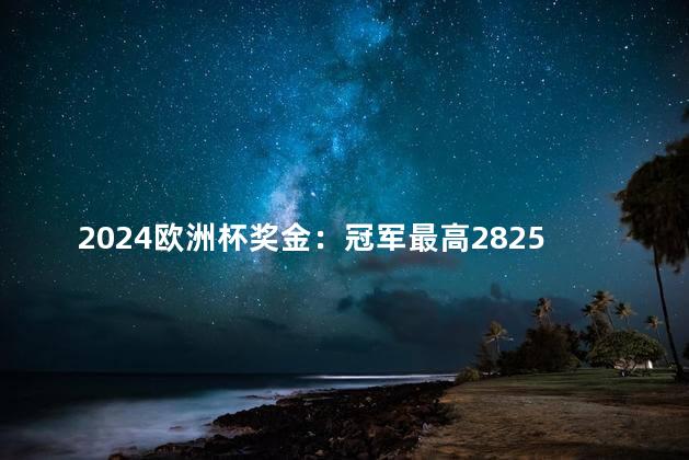 2024欧洲杯奖金：冠军最高2825万欧