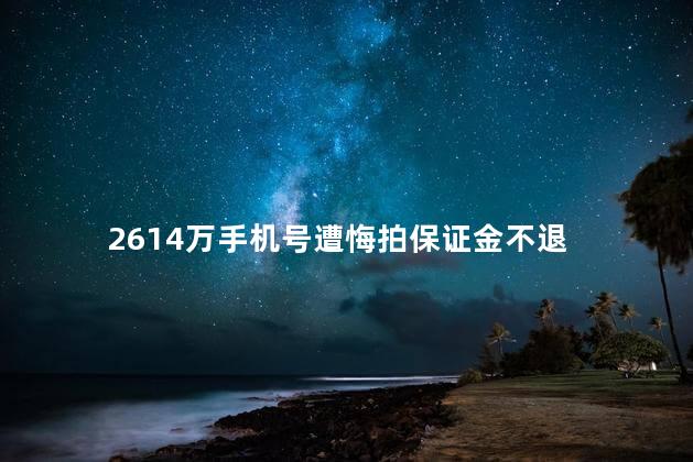 2614万手机号遭悔拍保证金不退