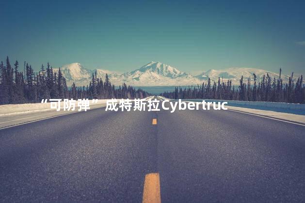 “可防弹”成特斯拉Cybertruck卖点