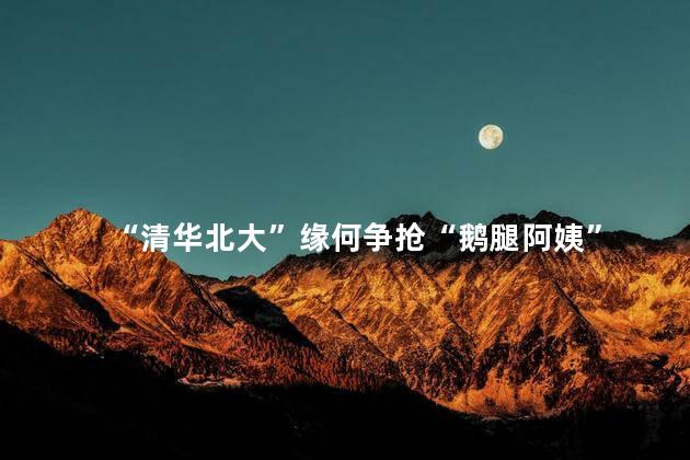 “清华北大”缘何争抢“鹅腿阿姨”