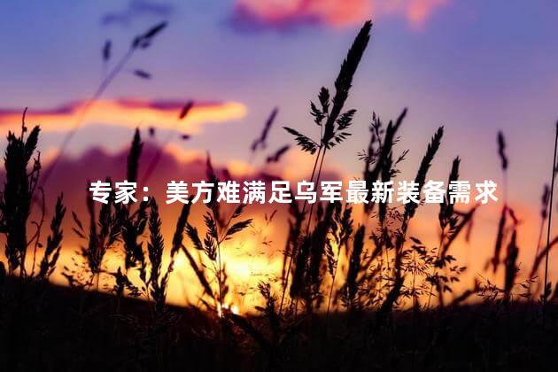 专家：美方难满足乌军最新装备需求