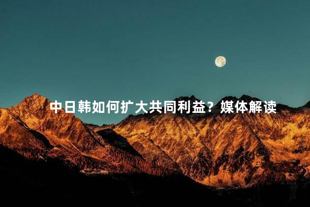 中日韩如何扩大共同利益？媒体解读