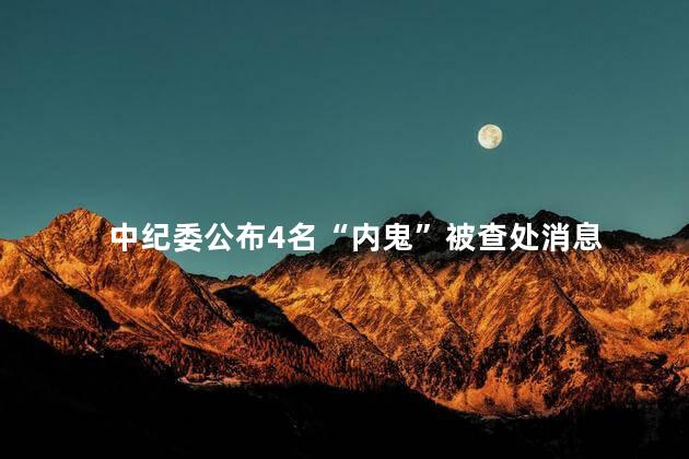 中纪委公布4名“内鬼”被查处消息