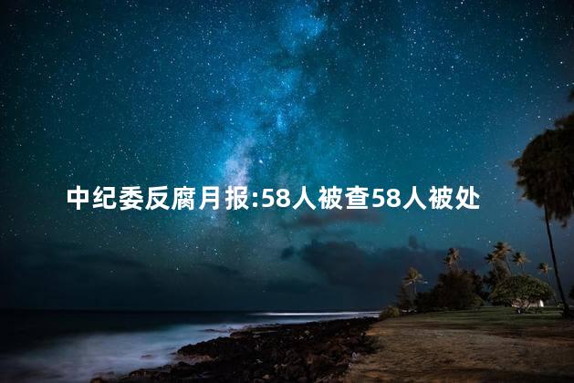 中纪委反腐月报:58人被查58人被处分