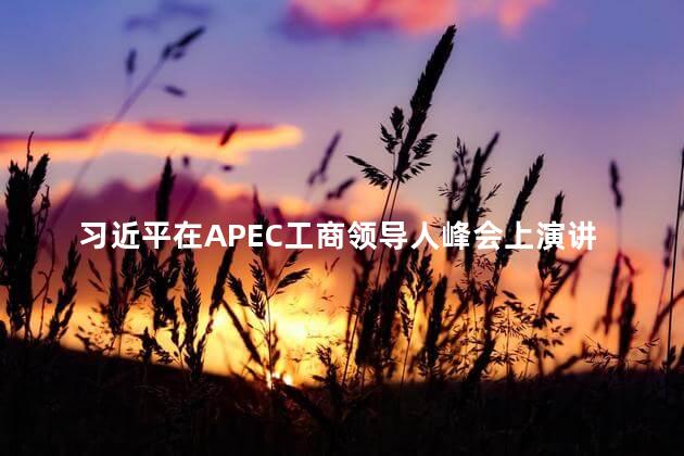 习近平在APEC工商领导人峰会上演讲