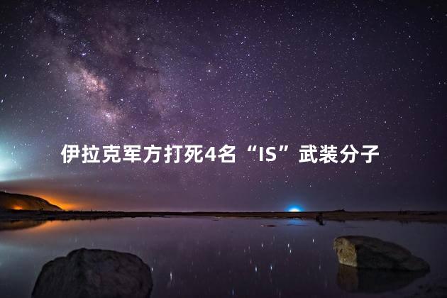 伊拉克军方打死4名“IS”武装分子