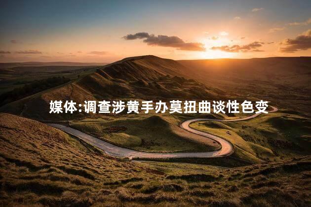 媒体:调查涉黄手办莫扭曲谈性色变