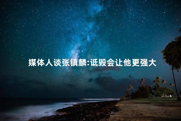 媒体人谈张镇麟:诋毁会让他更强大