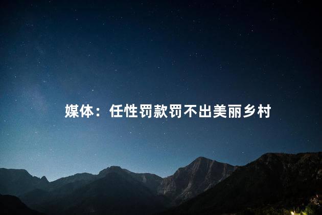 媒体：任性罚款罚不出美丽乡村