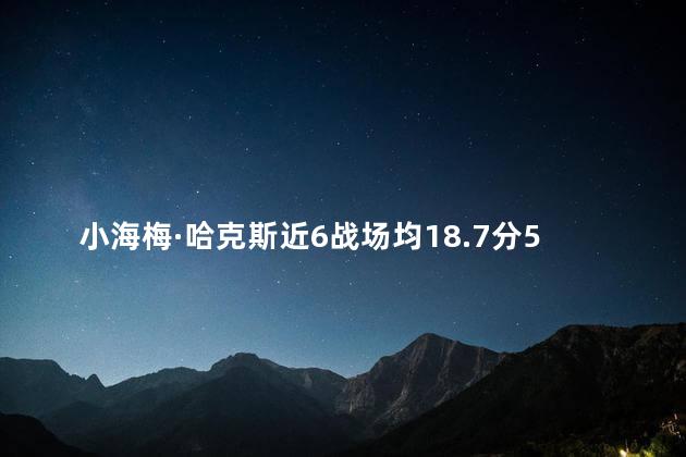 小海梅·哈克斯近6战场均18.7分5板