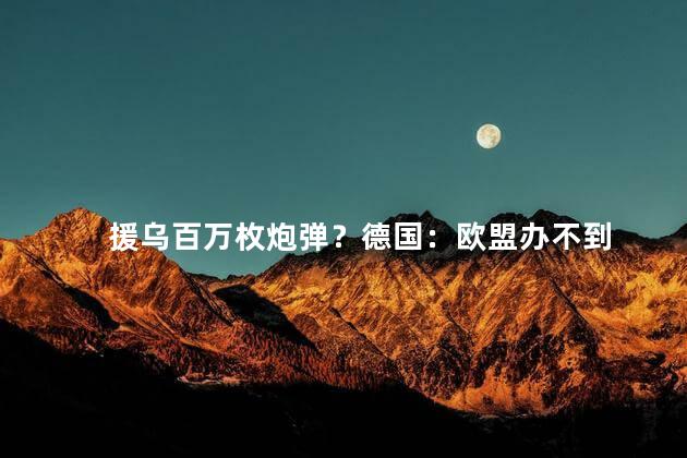 援乌百万枚炮弹？德国：欧盟办不到