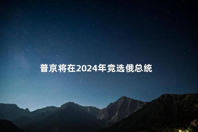 普京将在2024年竞选俄总统