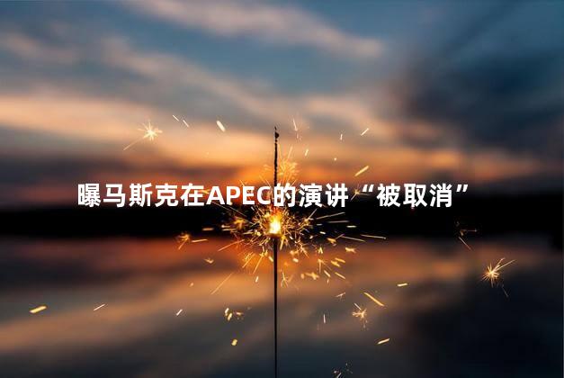 曝马斯克在APEC的演讲“被取消”