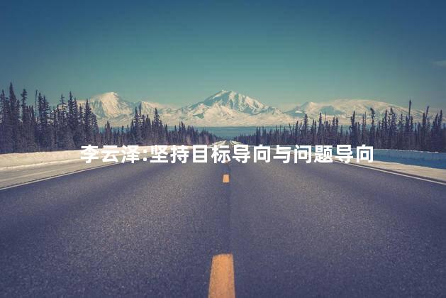 李云泽:坚持目标导向与问题导向