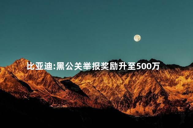 比亚迪:黑公关举报奖励升至500万