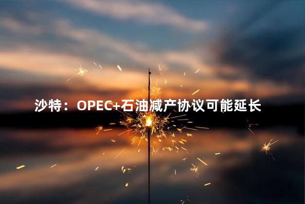 沙特：OPEC+石油减产协议可能延长