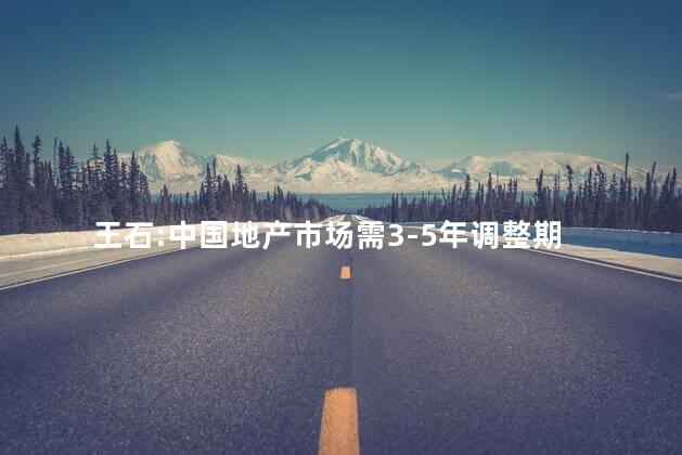 王石:中国地产市场需3-5年调整期