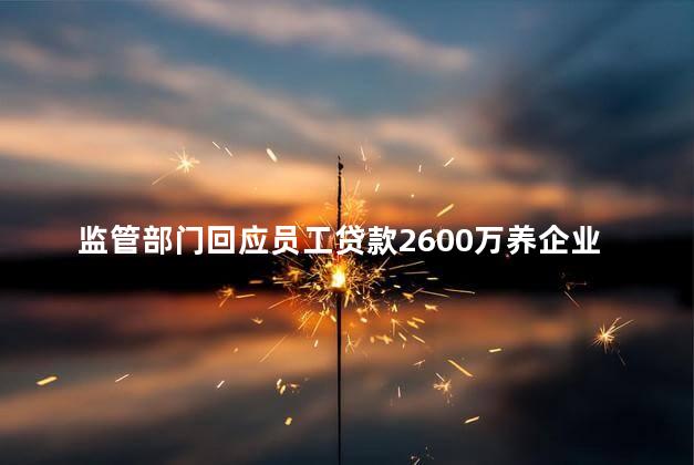 监管部门回应员工贷款2600万养企业