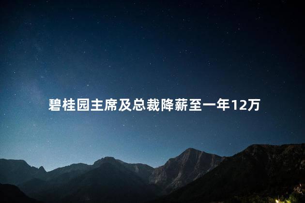 碧桂园主席及总裁降薪至一年12万