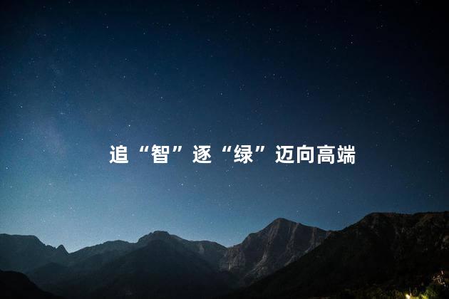 追“智”逐“绿”迈向高端