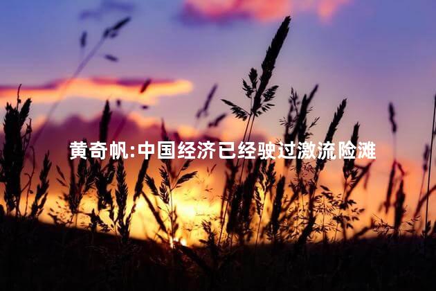 黄奇帆:中国经济已经驶过激流险滩